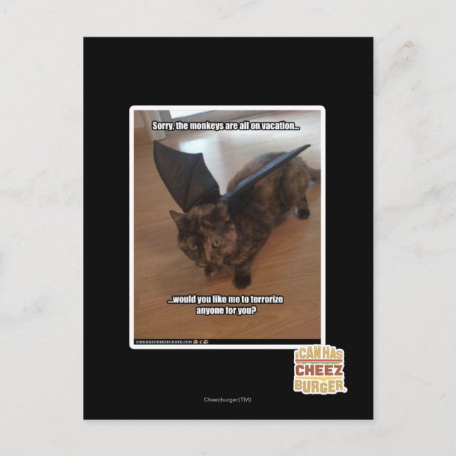 Affen auf Ferien Postkarte (Vorderseite)