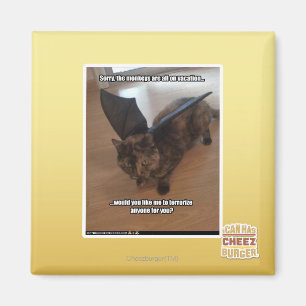 Affen im Urlaub Magnet