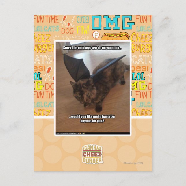 Affen im Urlaub Postkarte (Vorderseite)