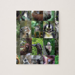 Affen Primaten Montage Puzzle
