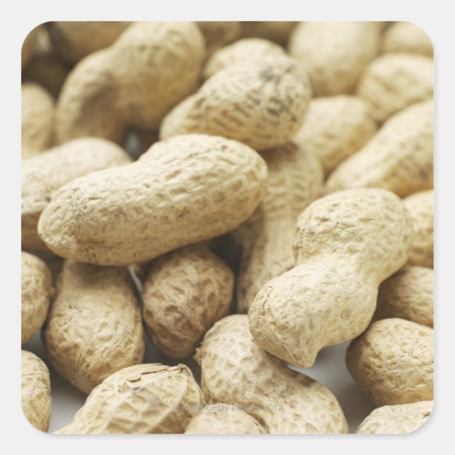 Affen. Quadratischer Aufkleber (Vorderseite)