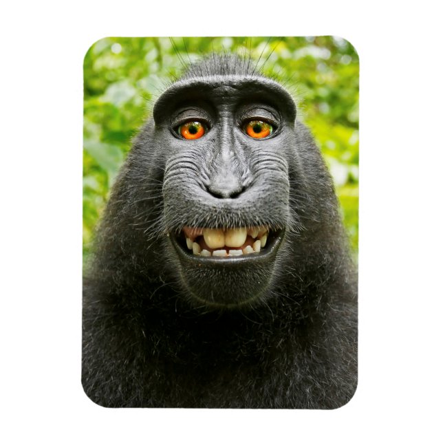 Affen-Selfie Magnet (Vertikal)