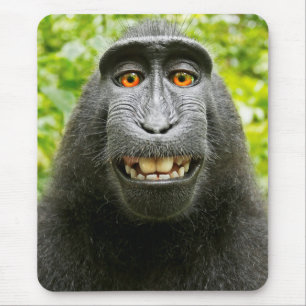 Affen-Selfie Mousepad