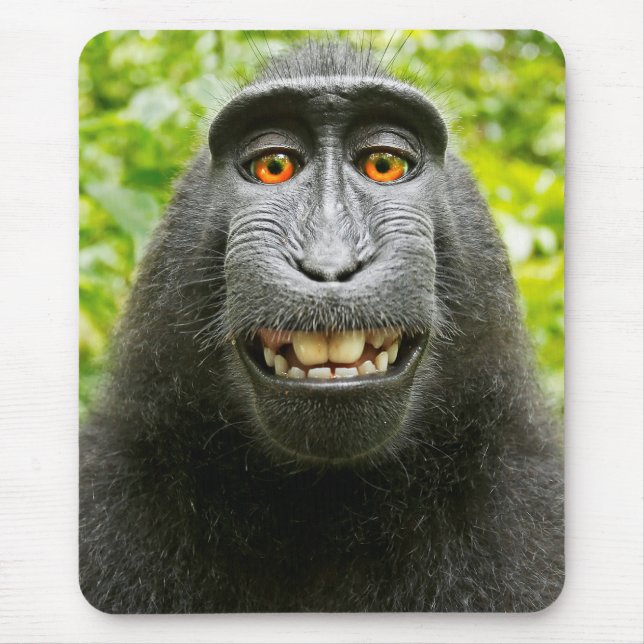 Affen-Selfie Mousepad (Vorne)