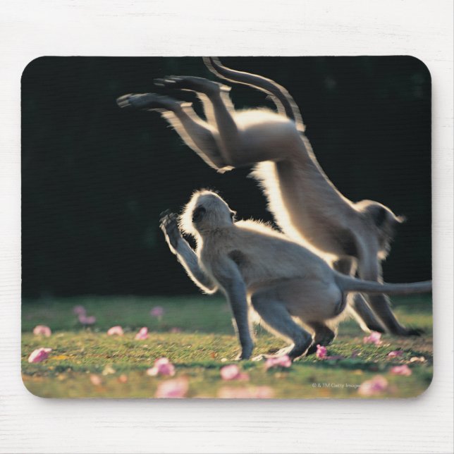 Affen spielen mousepad (Vorne)