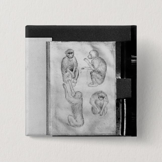 Affen, vom Vallardi Album Button (Vorderseite)