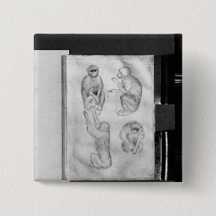 Affen, vom Vallardi Album Button