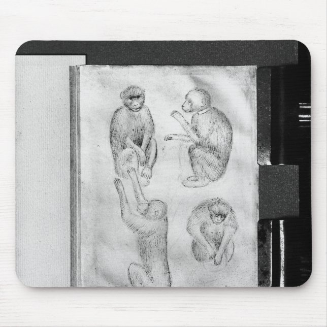 Affen, vom Vallardi Album Mousepad (Vorne)