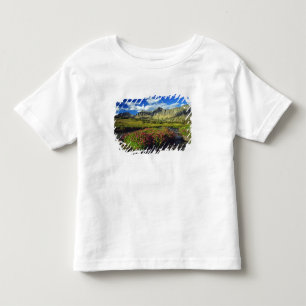 Affenblumen am Logan Pass im Glacier National Kleinkind T-shirt
