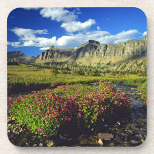 Affenblumen am Logan Pass im Glacier National Untersetzer