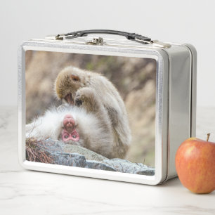 Affenfotografie, Japanischer Makaken-Affe Metall Brotdose