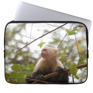 Affenfotografie, weißes Capuchin Laptopschutzhülle