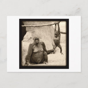 Affengeschäft Postkarte
