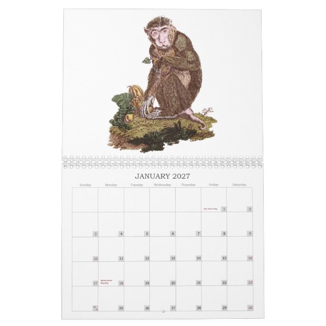 Affenkalender Kalender (Jan 2027)