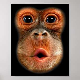Affenmagen Lustiges Meme Cool Viral Video Poster