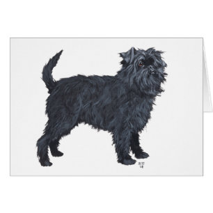 Affenpinscher