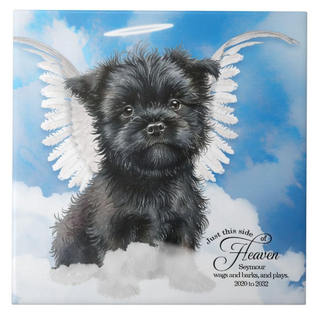 Affenpinscher Angel Dog Personalisiertes Haustier  Fliese (Vorderseite)