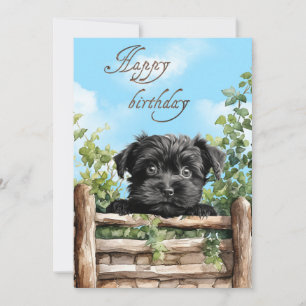 Affenpinscher Aquarellhund pinkelt über Zaun Feiertagskarte