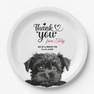 Affenpinscher Dog Pappteller