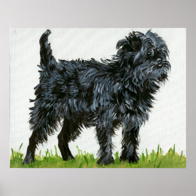 Affenpinscher Dog Portrait Poster (Vorne)