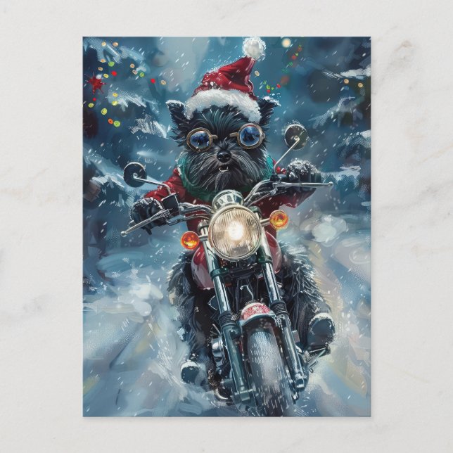Affenpinscher Dog Riding Motorrad Weihnachten Einladungspostkarte (Vorderseite)