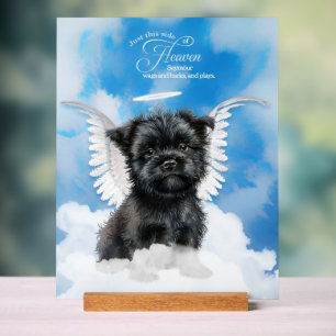 Affenpinscher Engel Hund mit Name Pet Memorial Acrylschild