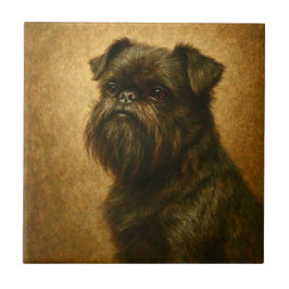 Affenpinscher Fliese