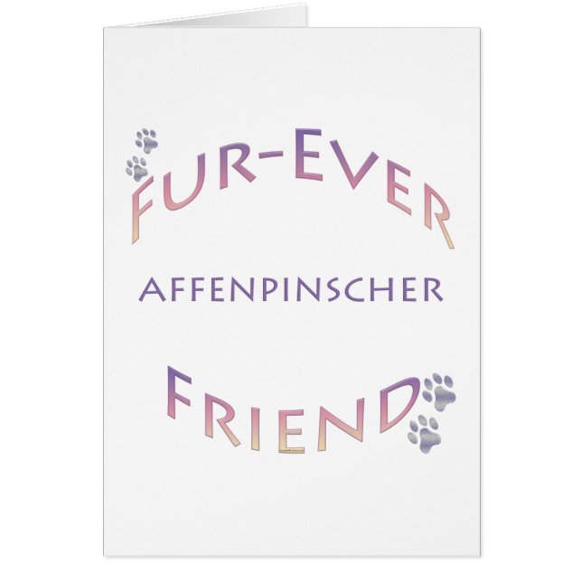 Affenpinscher Furever (Vorne)