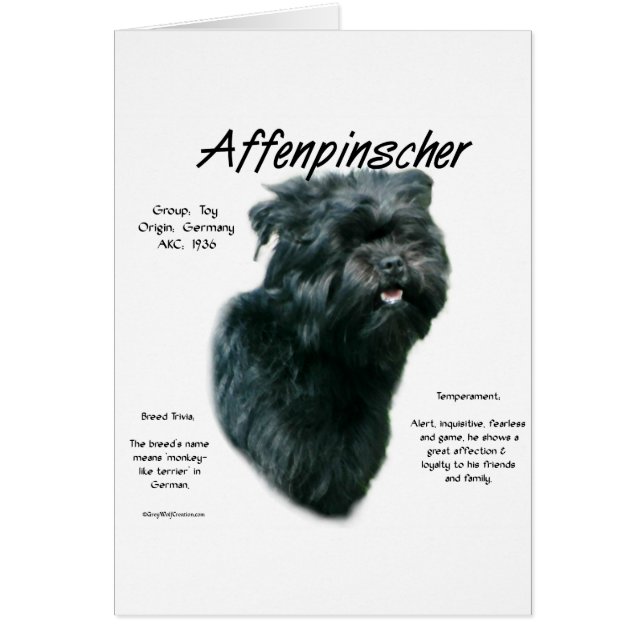 Affenpinscher Geschichtsdesign (Vorne)