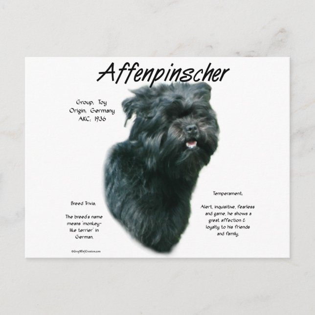 Affenpinscher Geschichtsdesign Postkarte (Vorderseite)