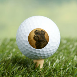 Affenpinscher Golfball