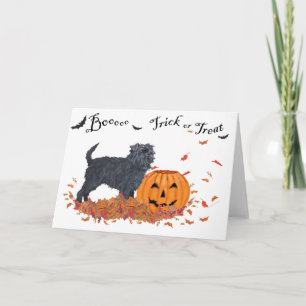 Affenpinscher Halloween Karte