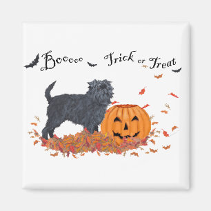 Affenpinscher Halloween Magnet