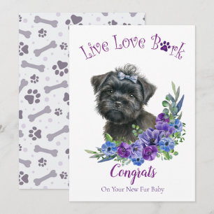 Affenpinscher Hund Adoption, Gotcha Tag Karte