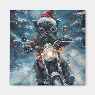 Affenpinscher-Hund fährt Motorrad Weihnachten Magnet