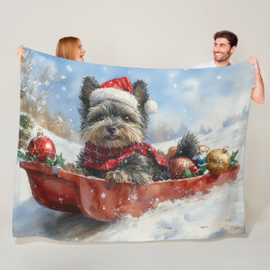Affenpinscher Hund im Schlitten Lass es schneien W Fleecedecke