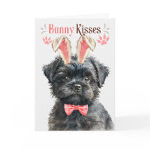 Affenpinscher Hund in sonnigen Ohren für Ostern