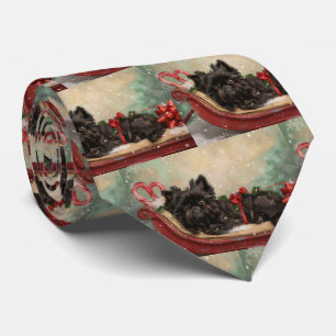 Affenpinscher Hund Weihnachtsfest Krawatte