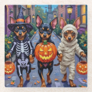 Affenpinscher-Hunde beim Trick-or-Treat an Hallowe Glasuntersetzer