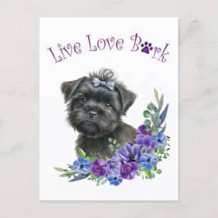 Affenpinscher-Hundemutter Blumen Postkarte