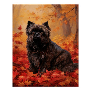 Affenpinscher im Herbst Leaves Fall Inspiriert Poster