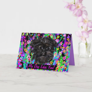 AFFENPINSCHER KARTE