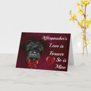 AFFENPINSCHER KARTE
