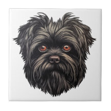 Affenpinscher Monkey Dog Affens Terrier