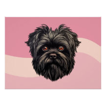Affenpinscher Monkey Dog Affens Terrier