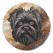 Affenpinscher Monkey Dog Affens Terrier