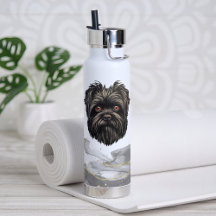 Affenpinscher Monkey Dog Affens Terrier