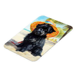 Affenpinscher on Beach, Sommergeschenk für Hundefr Magnet