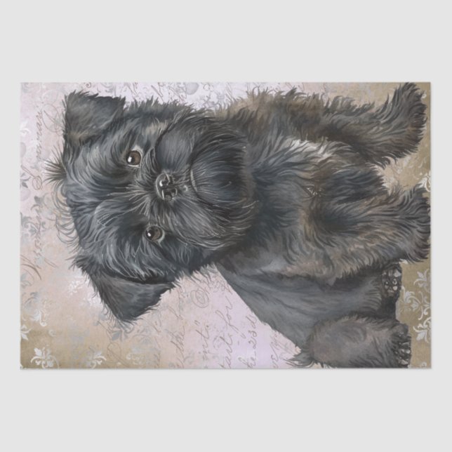 Affenpinscher Puppy Dog Seidenpapier (Vorderseite)