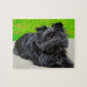 Affenpinscher reinrassiger Hund. Puzzle